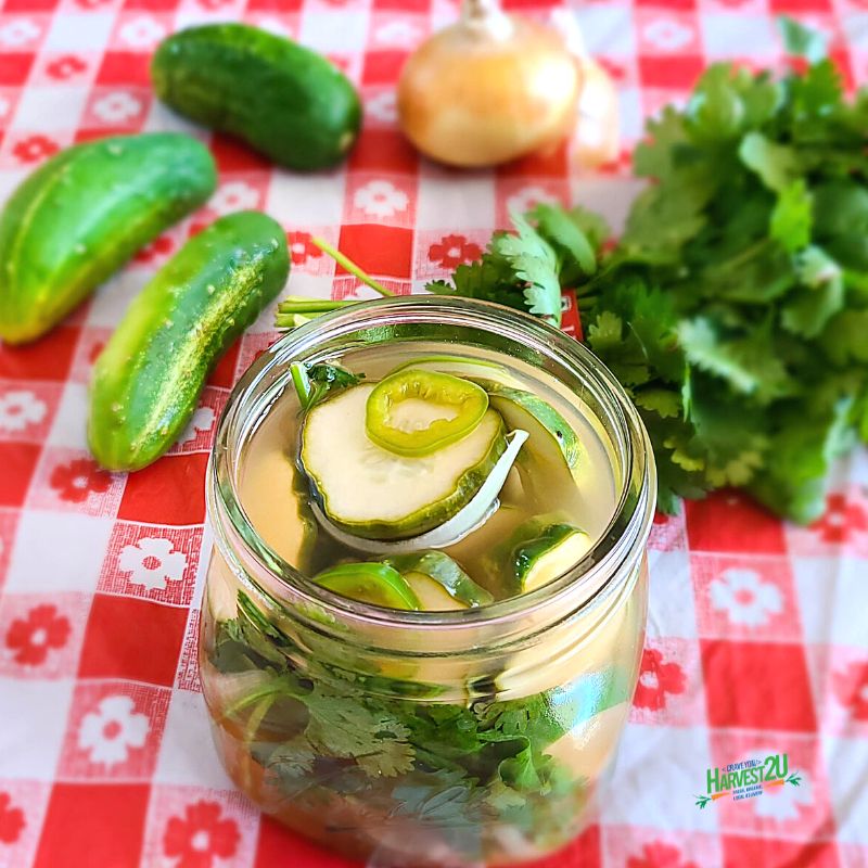 Broiled Green Tomatoes and Fresh Peaches - Taproot Farm