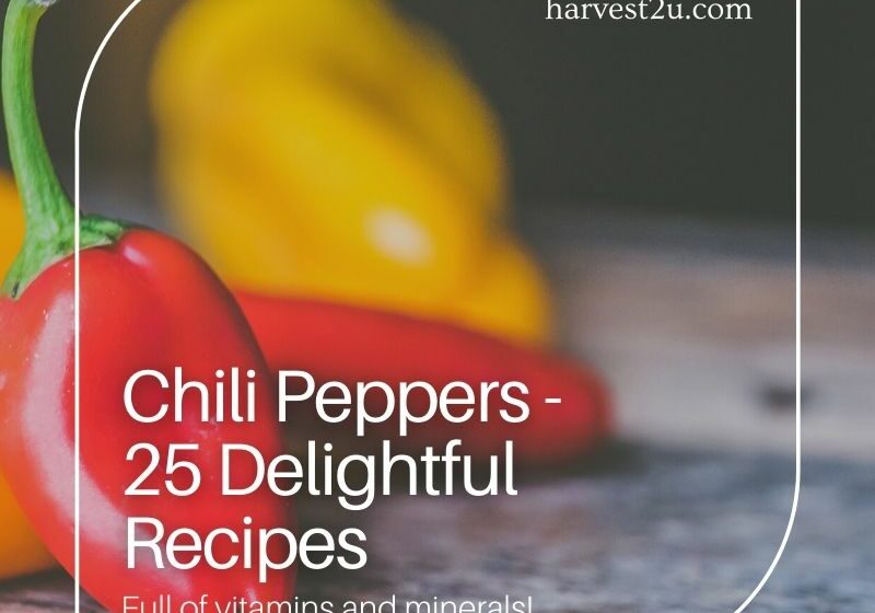25 chili peppers recipes